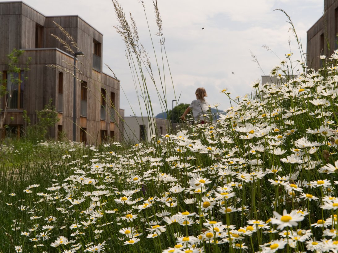 Wohnprojekt B.R.O.T. Pressbaum