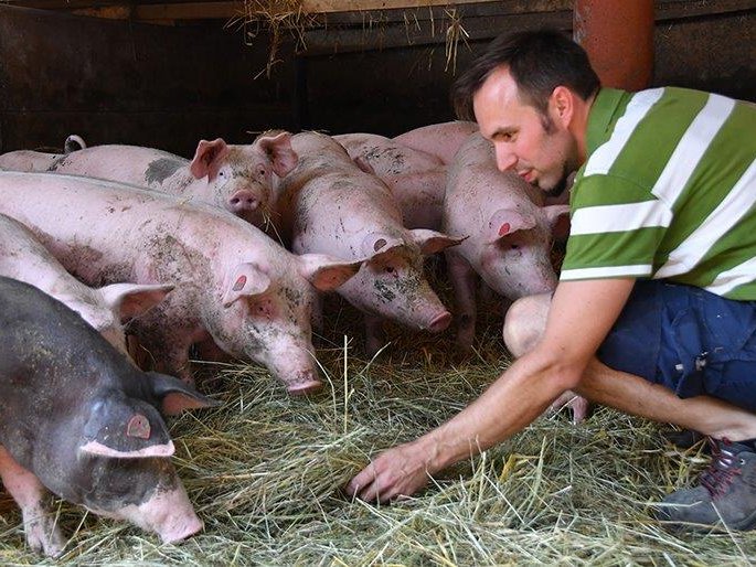 Schullers Hof-Greisslerei & Bio-Landwirtschaft