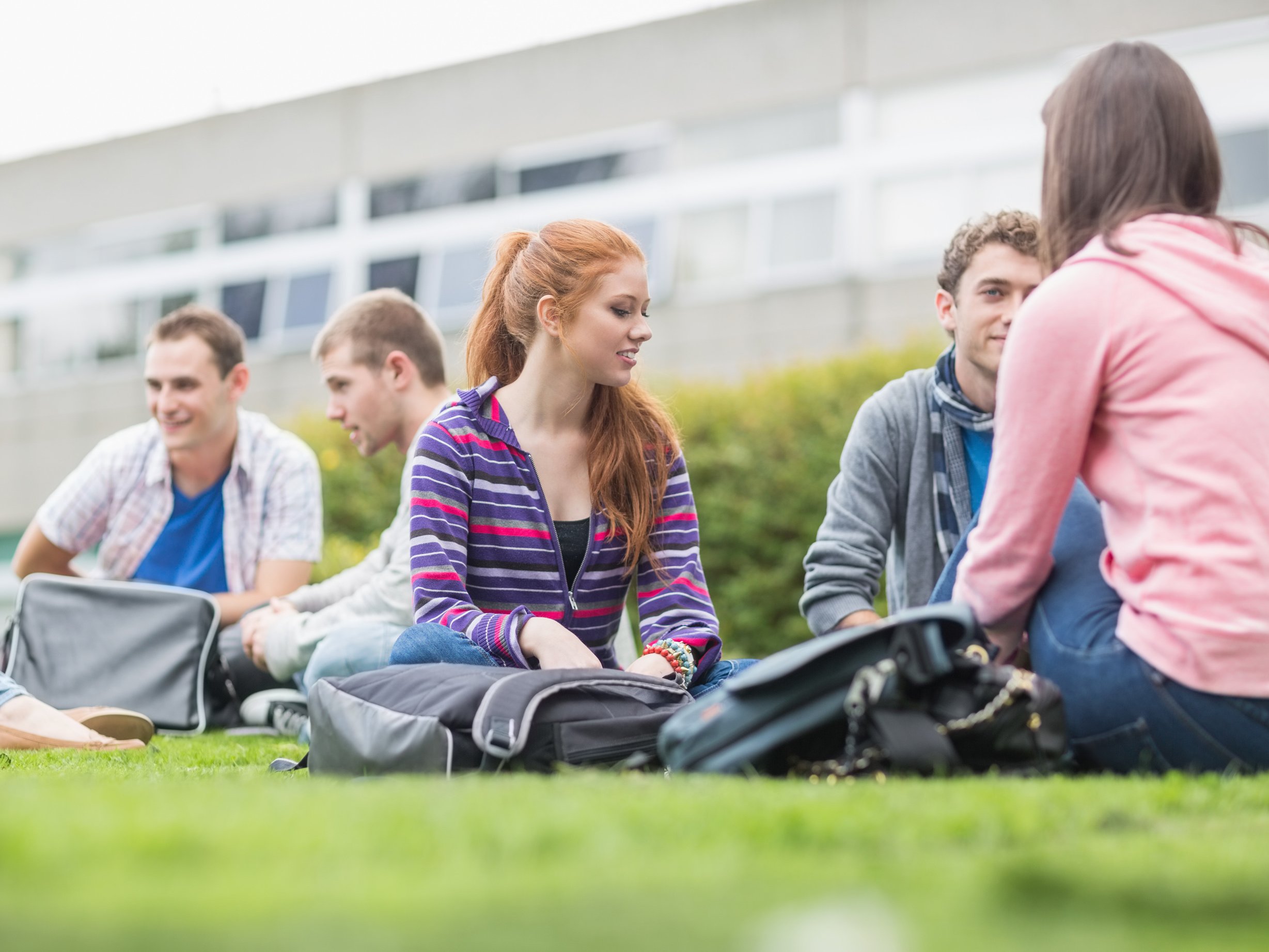 Studen:innen sitzen auf Wiese