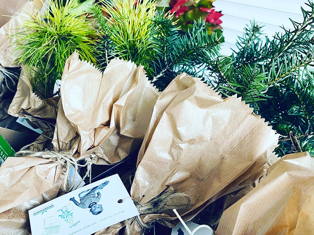 Baumsetzlinge der Baumschenkaktion