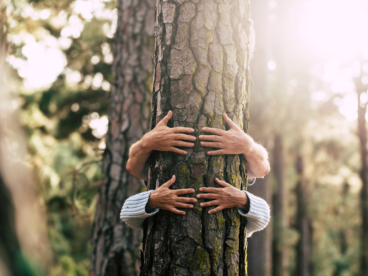 Ökologische und gemeinwohlorientierte Vorhaben