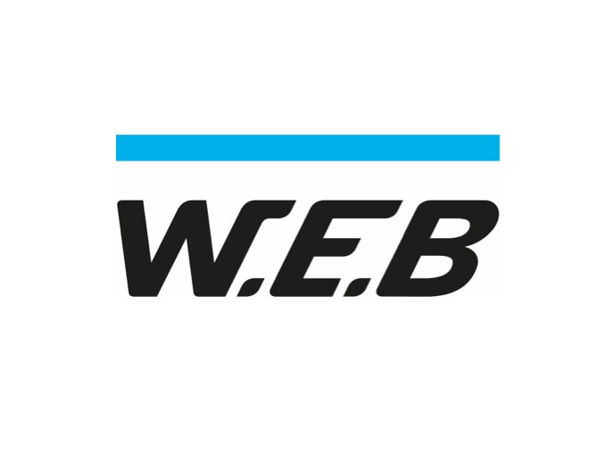 WEB Logo