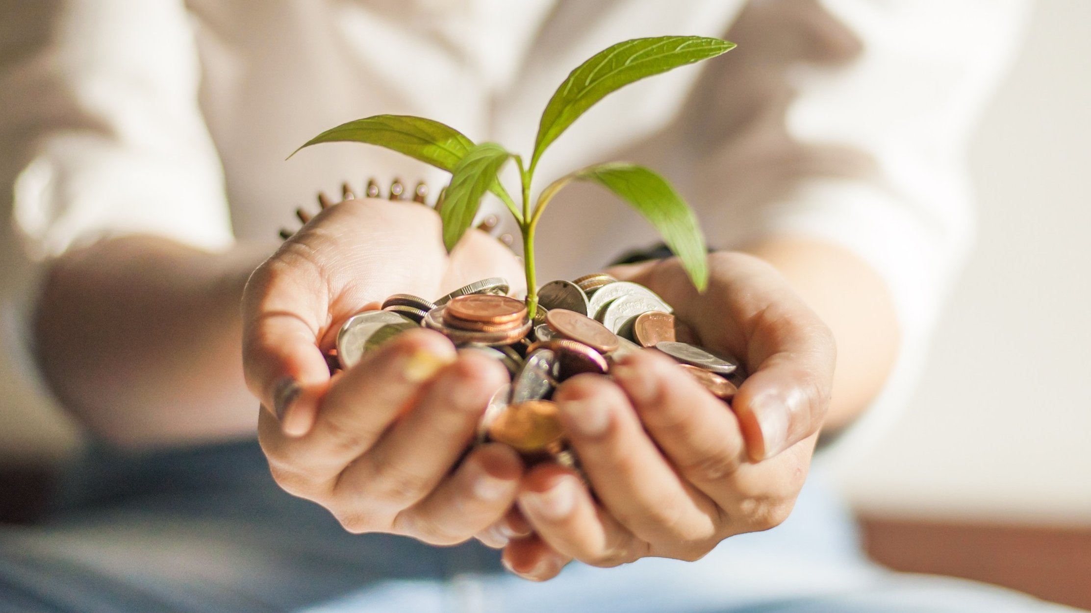 Grünes Geld wächst in Händen
